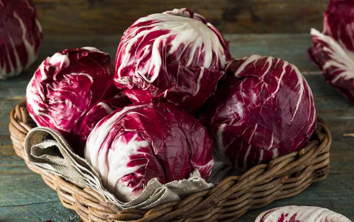 Radicchio